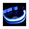 Lumina D Dog Leash for Medium Dogs, Pet Walking Supplies Blue