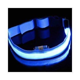 Lumina D Dog Leash for Medium Dogs, Pet Walking Supplies Blue