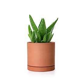 X-Small 4 Inch Terracotta Plant Pot with Drainage Hole and Saucer, Round Cylinder Planter Pot for Indoor Plants, 40-B-T-4-1