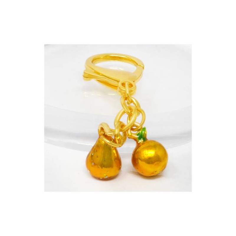 Isui Feng Shui Good Luck Amulet Key Chain Money Luck