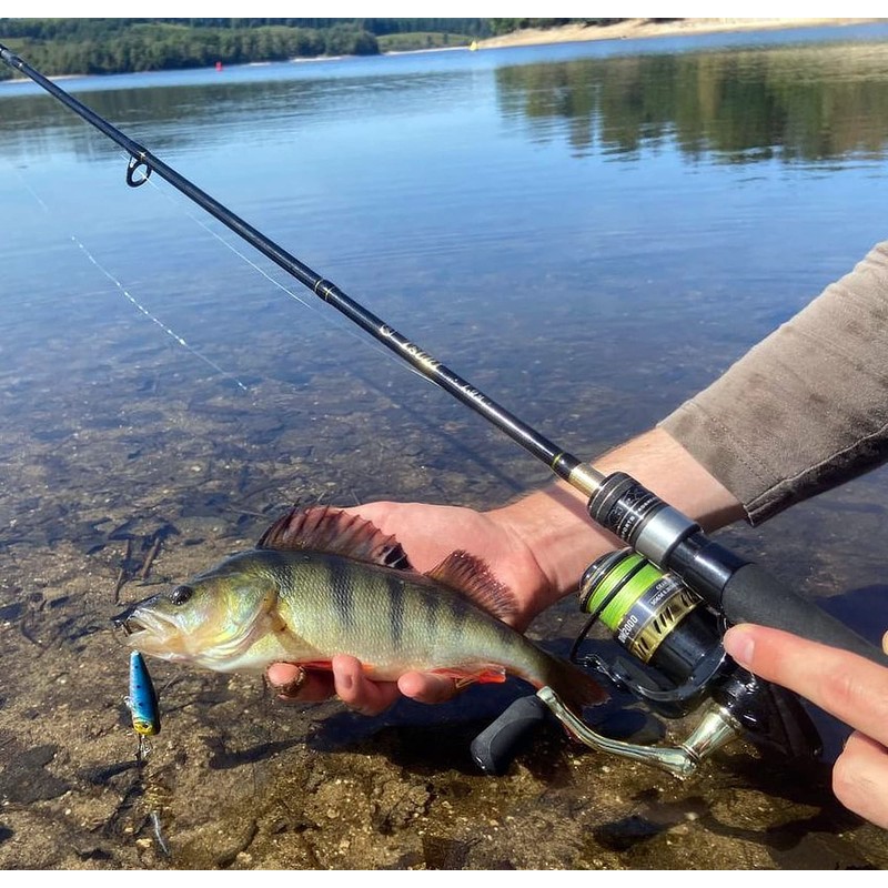 Fluorocarbon Fishing Lure 70/100 25/100 35/100 Leader for Trout, Predator,