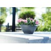 Elho torino bowl 30cm flowerpot - anthracite