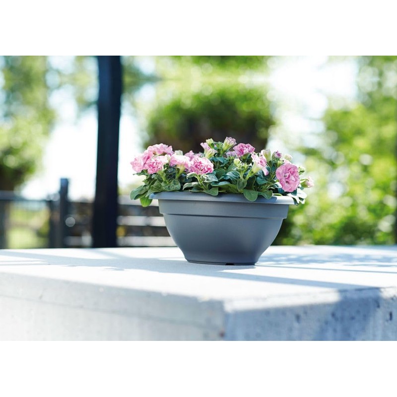 Elho torino bowl 30cm flowerpot - anthracite