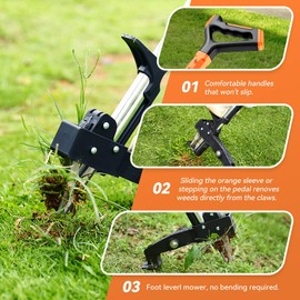 Weed Puller Tool,Detachable Weed Puller Stand Up Weeding Tools Heavy-Duty Stainless Steel 3-Claw with 39.3" Long Handle,Garden Tools for Lawn and Yard Without Bending or Kneeling