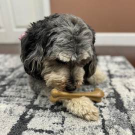 SPOT Bam-Bones Bone - Made with Strong Bamboo Fiber, Durable Long Lasting Dog Chew for Light to Moderate Chewers, Great Toy for Adult Dogs & Teething Puppies under 40lbs, 7.25in, Chicken Flavor