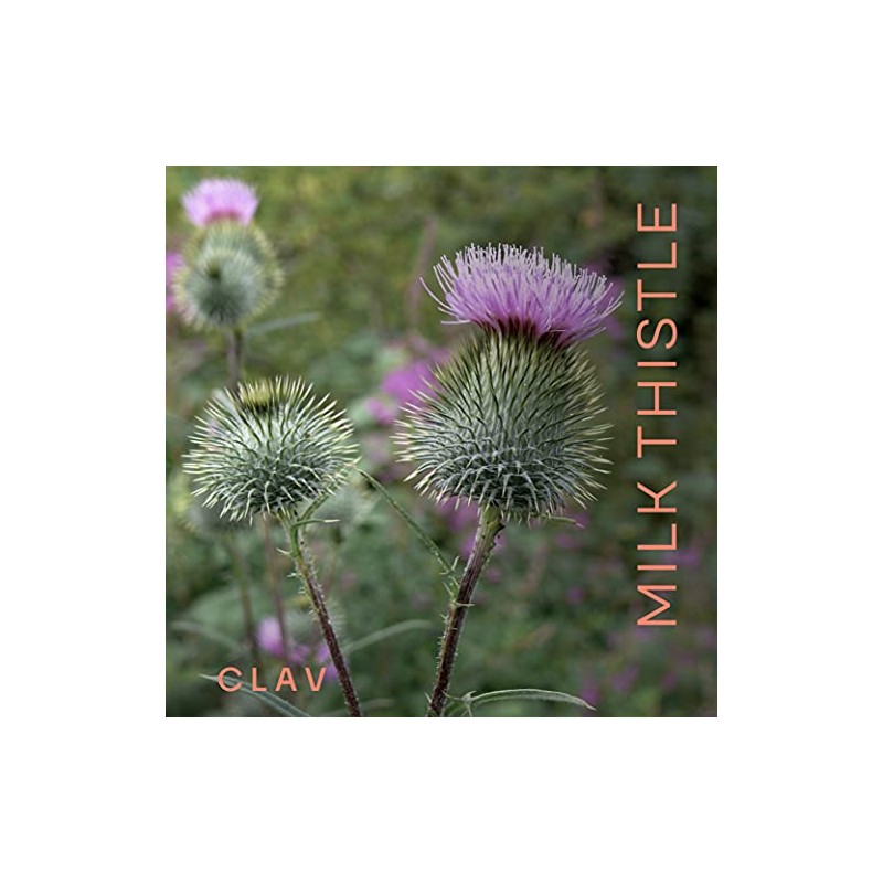 Organic Milk Thistle & Artichoke Extract Complex High Strength -
