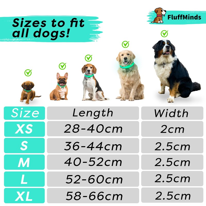 FluffMinds Light Up Rechargable Dog Collar, LED Dog Collar Light