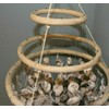 Huge Oyster Shell Chandelier Style Wind Chime, 36" +, G-84