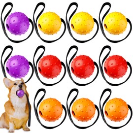 Suilung 12 Pcs Dog Training Ball on Rope Tug-of-war Fetch Toys on String Interactive 2.36 Inch Ball on 11.81 Inch Rope Puppy Plaything Small Large Medium Pet Toys for Chewing Playing Rewarding