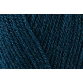King Cole Pricewise DK Crochet Yarn, 100% Acrylic Double Knitting Wool for Toys, Sweaters, Jumpers - 100g Ball - 3454 - Tempest - Single (1 Ball)