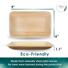 Planet Pantry Disposable Palm leaf Party Pack 9"x6" Rectangle Deep Plate (50 pcs) & Mini Spork (50 pcs) Bamboo Like Style - Paper and Plastic Alternative
