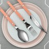 Bistro Shiny Nude Pink Dinner Set 3p / 비스트로 샤이니