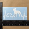 Boston Terrier Decal Pack: Peeking, Heartbeat, Dog in Heart, Standing