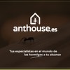 AntHouse - 3D Ant Farm Made of Sand Grey T