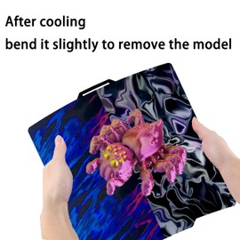 Build Plate for Bambu Lab A1/X1/X1C/X1E/P1P/P1S, Build Plate 3D Printer Accessories Spring Steel Sheet Holographic Printing Bed P1S Build Plate 257x257mm for Bambu Lab