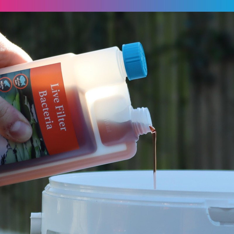 NT Labs Pond Mature, Pond Live Filter Bacteria, Breaks Down