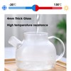 Glass Teapot with Infuser for Loose Leaf Tea TMOST Glass