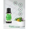 Horbäach Peppermint Essential Oil | .51 fl oz (15mL) |