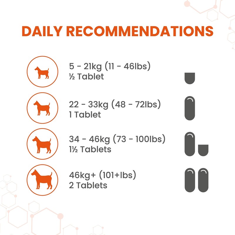Vetzyme Once A Day Conditioning Tablets for Dogs (30 Tablets)