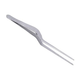 1 Piece Silver Professional Spiral Design Stainless Steel Lighting Ear Tweezers Ear Clip Dug Earwax Tools，Ear Care