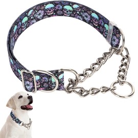 Stainless Steel Chain Martingale Collar for Dogs, No Pull Slip Choker Collar Training Escape Proof Heavy Duty Choke Dog Collar for Small Medium Large Dogs Boy Male Pet, Skull M