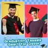 20 Pack 2025 Graduation Tassels Graduation Cap Tassel Grad Tassels