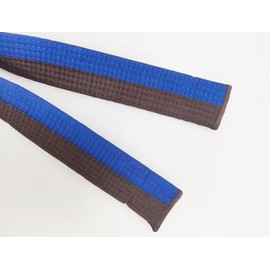 Pandiui23 Professional Taekwondo Karate Judo Double Wrap Martial Arts Stripe Sports Belt (1, Blue Brown, 2.6M)