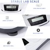 LACHOI Lab Scale 2000g×0.01g Accuracy Precision Scale Laboratory Analytical Balance