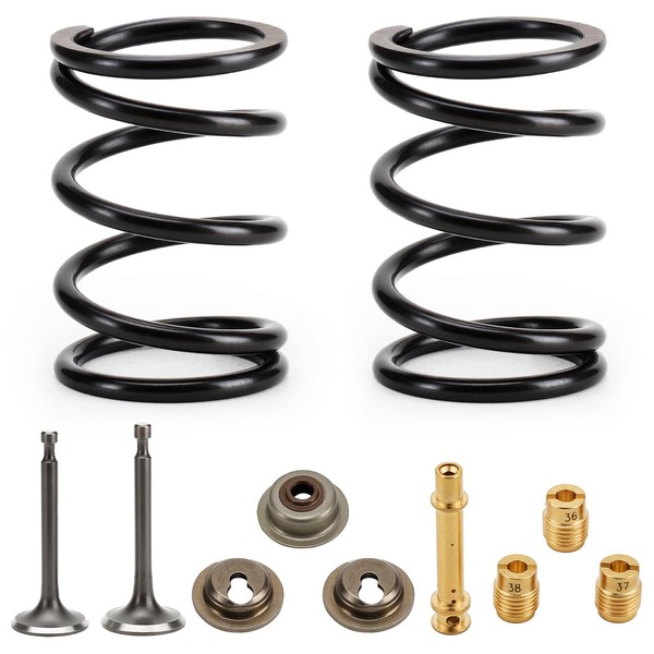 26lb Valve Springs Kit for Predator 212cc 196cc Non Hemi