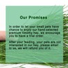 Ohcool Timothy Hay 1.1LB - Dust Free Natural Green Fresh