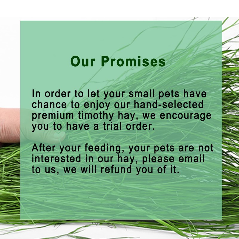 Ohcool Timothy Hay 1.1LB - Dust Free Natural Green Fresh