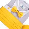 Yellow Silk pre-tied Bow Ties For Men Handkerchiefs Cufflinks and