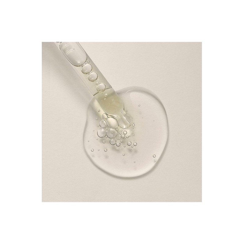 [Renewal] Ginger Scalp Care Scalp Serum 50ML (42587) / [리뉴얼]
