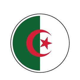 MAGNET Round Algerian Flag Algeria Dza Dz Magnetic Vinyl Car Fridge Sticks to any Metal Surface 5"