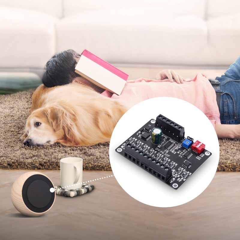 DONGKER Voice Playback Module, DC 9-24 V, 30 W Voice