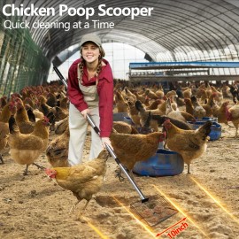 Dwulcx 10inch Large Metal Chicken Poop ScooperHeavy Duty Chicken Coop Scoop for Poo...