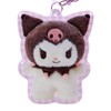 Sanrio 155900 Character Shaped Pass Case (Pita Furenzu Photo Design)