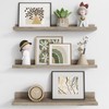 Axeman Picture Ledge Shelf, Floating Shelves 24 Inch Set of