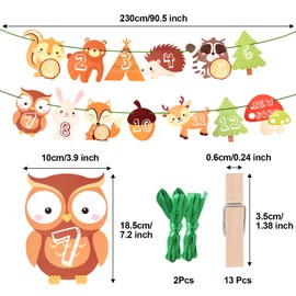 Photo Garland 1 Birthday First Birthday Garland Photo Banner, Safari Photo Banner 1st Birthday Garland 12 Months Set for Boys Girls Party Christening Birthday Decoration