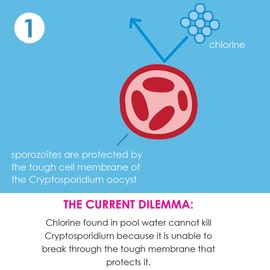 Splash About Happy Nappy Duo, Tug Boats, 4-5 Years