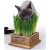 Smartcat 3844 Kitty’S Garden Edible Grass Planter 6.8 x 6.2
