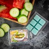 Cucumber Melon Scented Wax Melt - 2 Ounces - 6