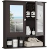 Byroce Wall Bathroom Storage Cabinet, Large, Brown