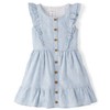 Gymboree,Girls,and Toddler Linen Summer Dresses,Linen Blue,2T