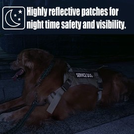 IronSeals 4 Pack Reflective Removable Patches for Dog Vest Harness - Service Dog/Do Not Pet/Emotional Support (L: 6"x2", Service Dog in Training + Every Dog Has Its Day)