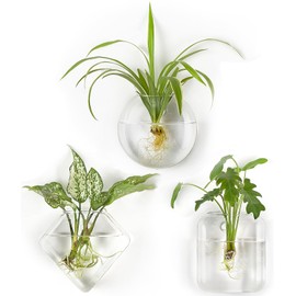 Mkono Wall Planter Propagation Stations Hanging Glass Terrariums Vase Container for Propagating Hydroponic Plants Flowers Home Office Living Room Bathroom Garden Decor, 3 Pack