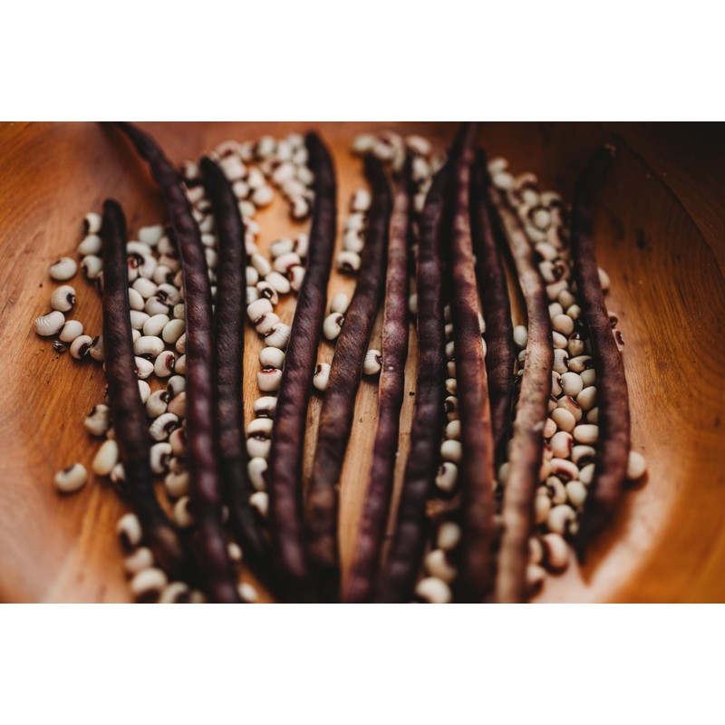 Pink-Eyed Purple Hull Cowpea - 50 Seeds - Heirloom Variety,