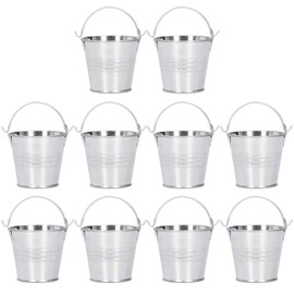 Verdant Touch Succulent Planter, 10 Pieces Mini Succulent Flower Pot, Small Metal Bucket for Indoor Outdoor Decoration, Shiny Silver, 4 x 5.5 x 6 cm