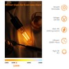 Decoaui E26 T10 LED Light Bulbs, 5 Inch Vintage Tubular