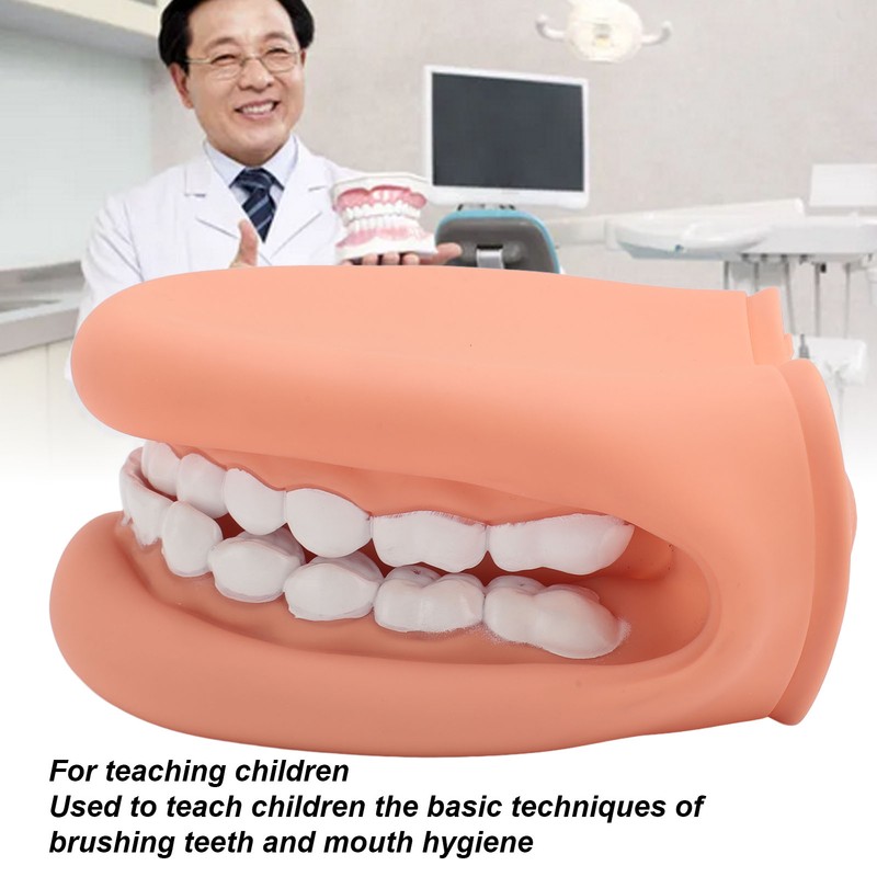 Mouth Puppet with Tongue 28 Teeth Silicone Speech Therapy Demonstration